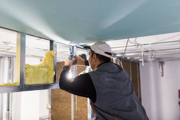 Best Wall Insulation Installation  in La Puente, CA