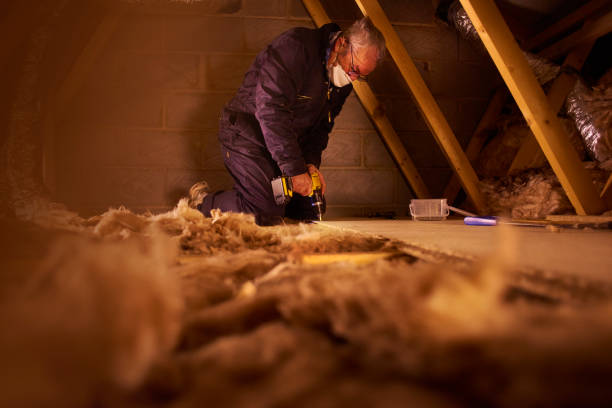 Best Commercial Insulation Services  in La Puente, CA